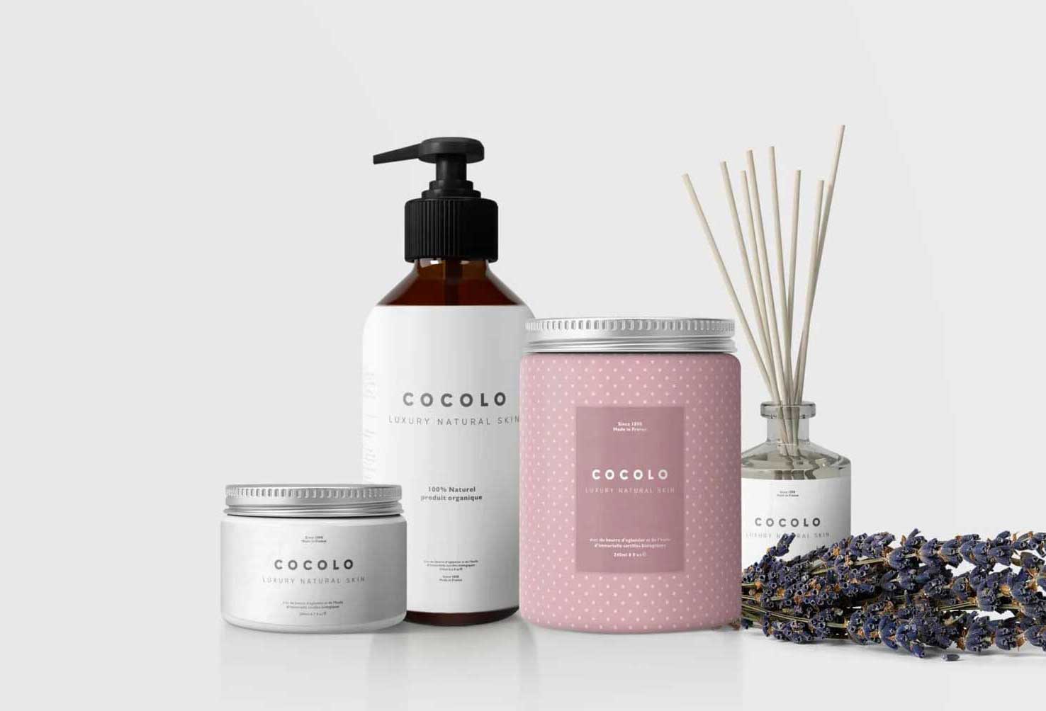 hinh anh introduce 3